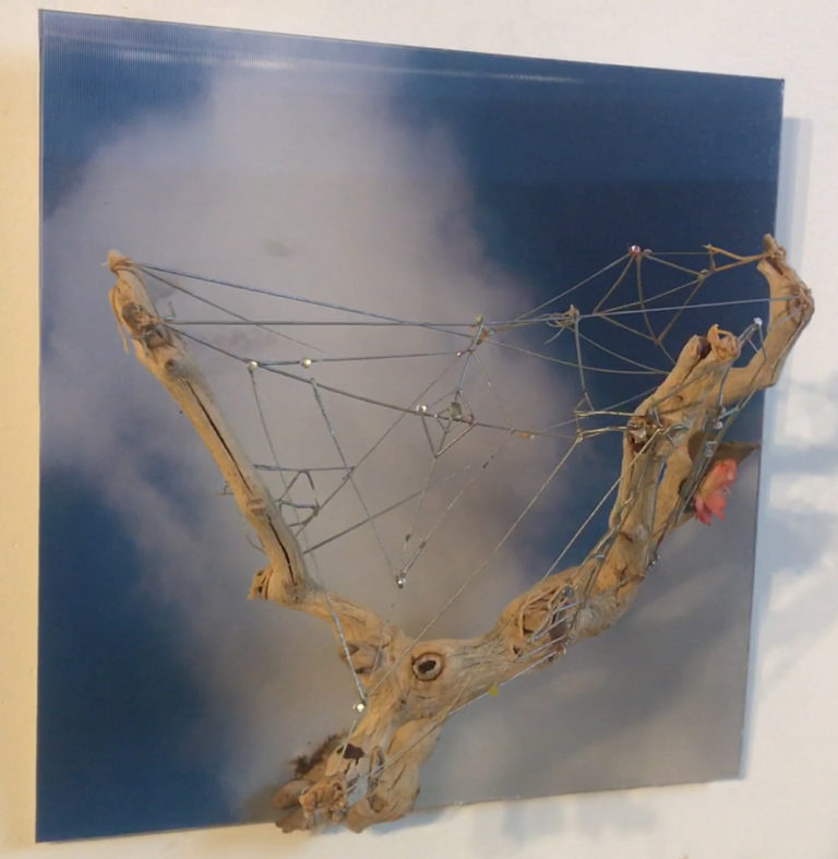 Read more about the article Spider Web and Cloud