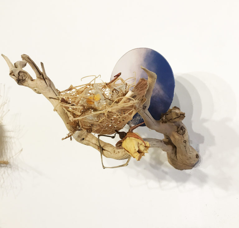 Read more about the article Wall Nest 5