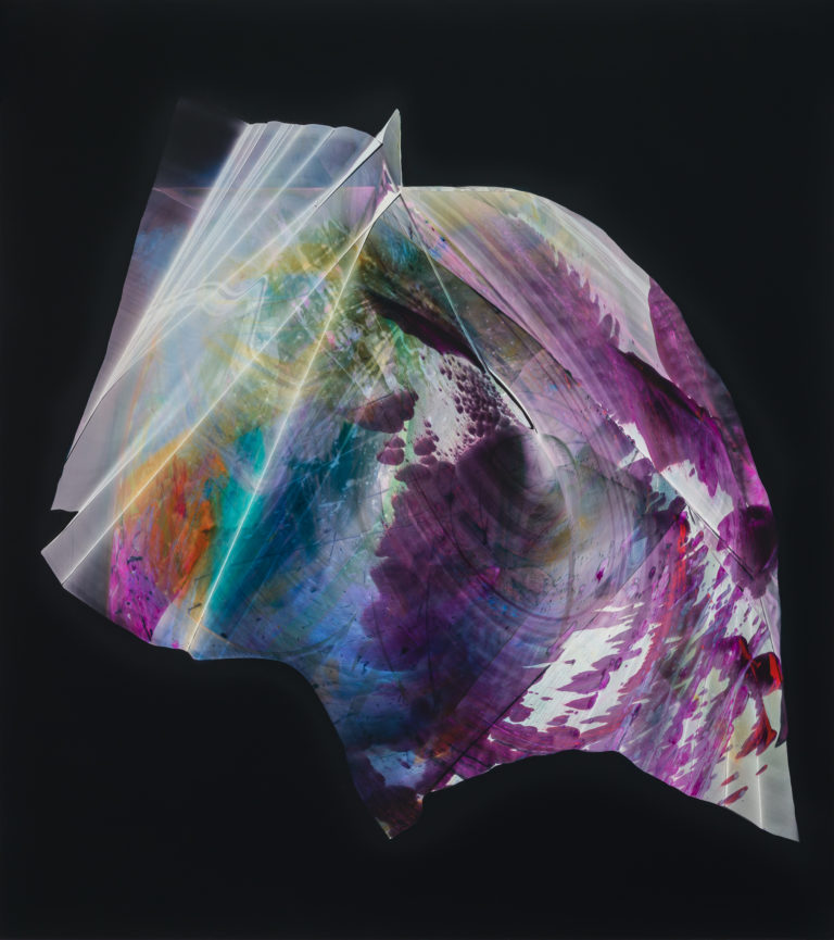 Read more about the article The Animals Began To Sing